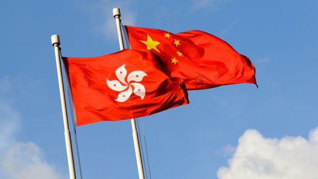 逃离棕榈树森林