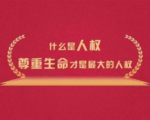 茂密丛林逃生